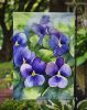 Rhode Island Violets in Watercolor Garden Flag Mailbox Flag Decorative Yard Flag Banner Outside Patio Artwork Yard Flower Beds, Garden Size